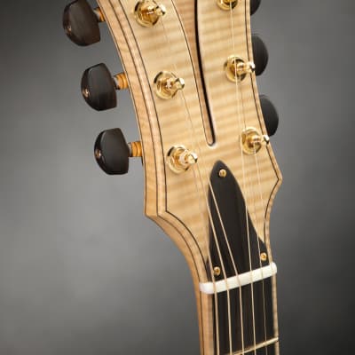 Schneider Guitars / The SoHo17 image 15