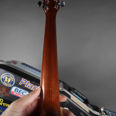 Charvel 535D Natural Acoustic-Electric Guitar + Hardshell Case﻿ image 12