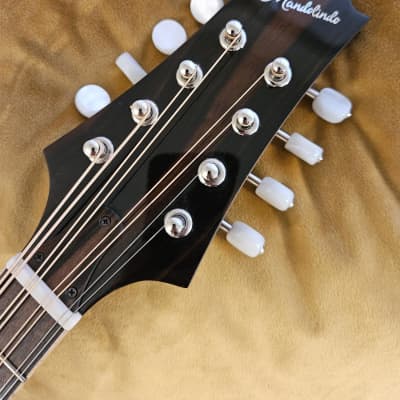 KR Strings Octolindo F Deluxe 2023 w/ Custom Pickguard - Octave Mandolin (w/ Video) image 6
