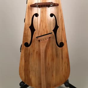 Custom Vintage 120 Year Old Violin Case Guitars - Electric & Acoustic with Custom Case image 5