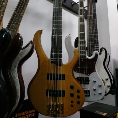 Ibanez Btb 1405 premium bass v basso 5 corde con custodia | Reverb