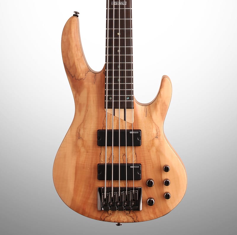 ESP LTD B205SM Electric Bass, 5-String, Natural Satin image 1