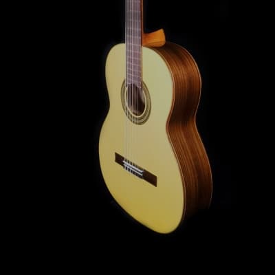 Chamber Concert Classical Guitar - Spruce & Rosewood image 1