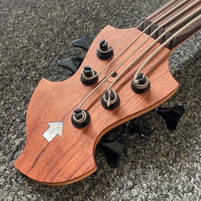 Letts WyRD mini bass with Delano theExtender 2022 image 3