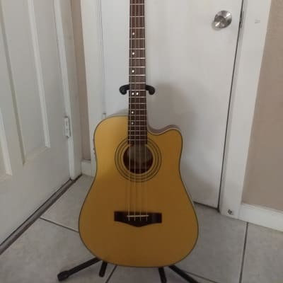 Fender BG29 NAT Acoustic/Electric Bass with Hard Case image 1