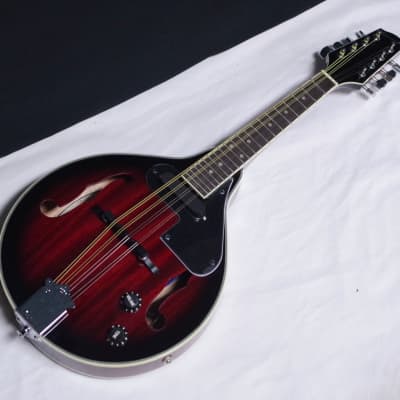 SAVANNAH SA-115-E acoustic electric A-style Mandolin NEW w/ Light Case image 3