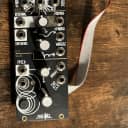 Make Noise Richter Wogglebug Module 2014 - Present - Black