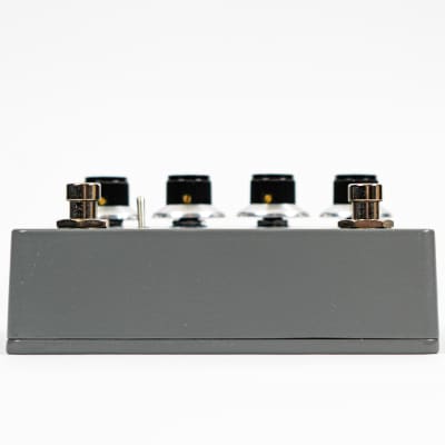 PastFx Chorus Ensemble MN3007 Boss CE-1 Clone - Guitar