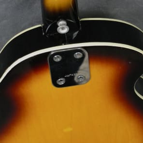 1960's Venetian Electric Mandolin, Bruno Conqueror, Made in Japan w/Gig Bag image 12