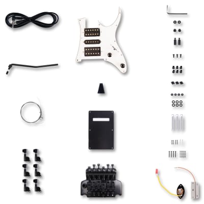 Leo Jaymz DIY Electric Guitar Kits in IBZ Style - The goods have arrived in the United States image 5