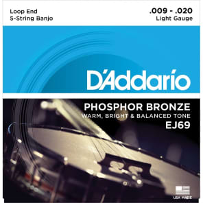 D'Addario EJ69 5-String Banjo Strings Phosphor Bronze Light 9-20