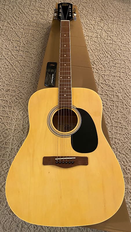 Rogue rd80 dreadnought on sale acoustic guitar