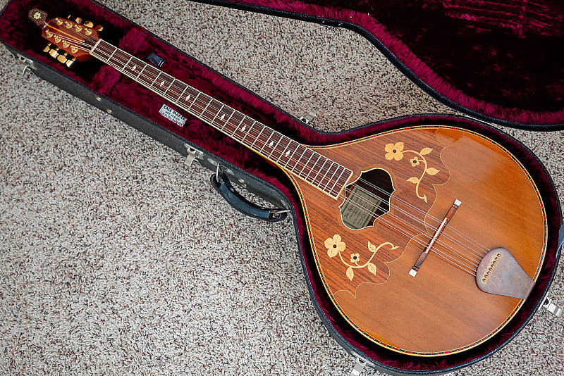 Joe Foley Irish Bouzouki Reverb