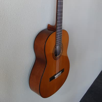 Brand New Yamaha C40 Nylon String Classical Guitar image 3