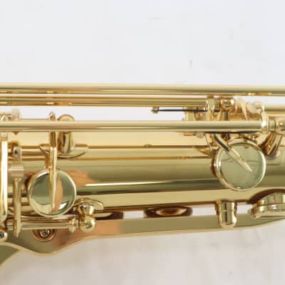 Selmer Paris Model 54AXOS Professional Tenor Saxophone SN 833228 GORGEOUS image 21