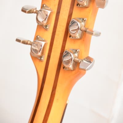 C. G. Winner AO-230 – 1970s Vintage Made in Japan Solidbody Neckthrough Guitar image 13