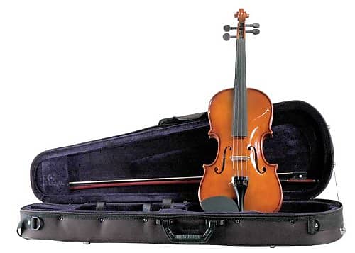 【美品】Palatino バイオリン　4/4 Palatino Full-sized 4/4 Violin, VN-350, with Palatino Padded