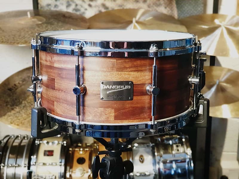 Canopus Caribbean Rosewood 14