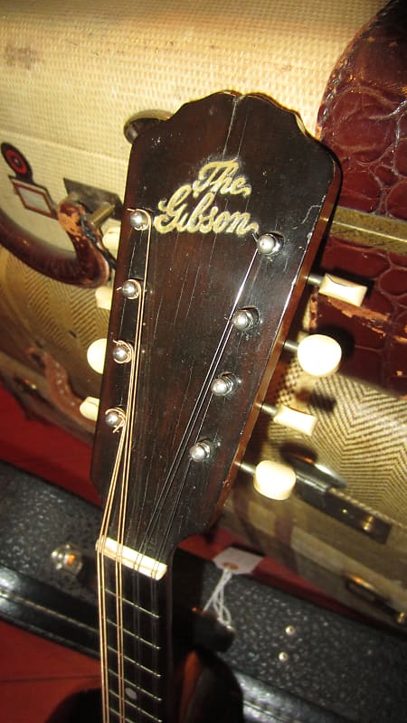 Gibson Octave Mandolin 1904, Natural