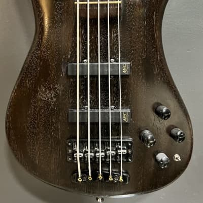 Warwick Streamer Stage II 5 string -Traa’s from POD image 4