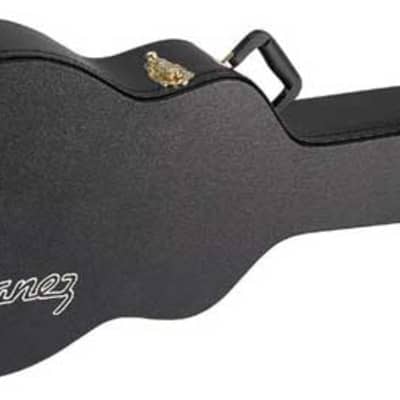 Ibanez AEL50C Acoustic Guitar Case for AEL Series image 1