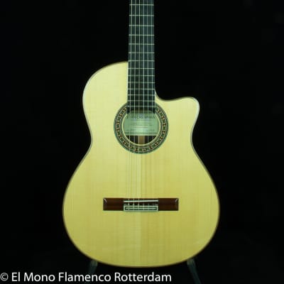 Cashimira 130C Palosanto Thinline Cutaway 2017 Out of Production made in Spain by Joan Cashimira image 2