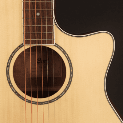 Cort GAMEDXOP Grand Regal Auditorium Cutaway Body Spruce Top 6-String Acoustic-Electric Guitar image 3