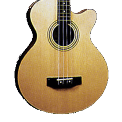 Jay Turser Jay Turser JTB-D100 4 String  Acoustic Bass Natural for sale