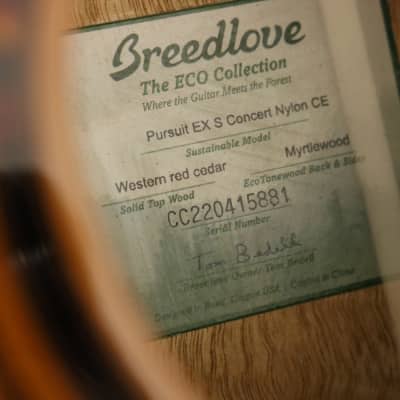 USED Breedlove Pursuit EX S Concert (881) image 9