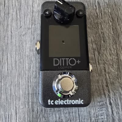 TC Electronic Ditto Looper | Reverb