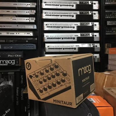 Moog Minitaur Analog Bass Synthesizer | Reverb