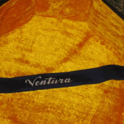 1970s Ventura Dreadnought HS Case for 6 or 12 string acoustic guitar (NO guitar) black ext/gold int image 12