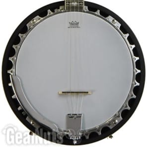 Washburn Americana B10 5-string Resonator Banjo image 9