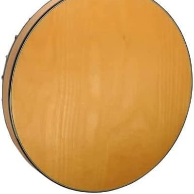 Gold Tone GT-500 Banjitar Banjo (Six String) image 2