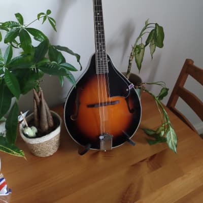 Blue Moon Mandolin + stand for sale