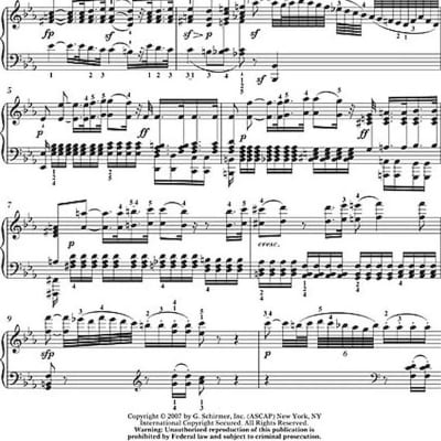 Beethoven - Sonata in C Minor, Opus 13 ("Pathetique") image 7