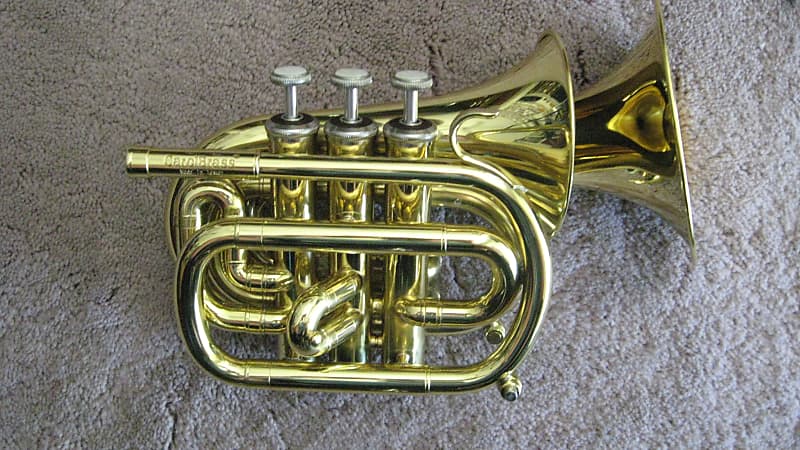 Trumpet Brass Musical Instrument - Small Trumpet,Musical Trumpet,Musical  Gift