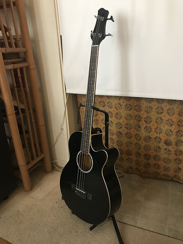 Acoustic / electric BASS | Reverb