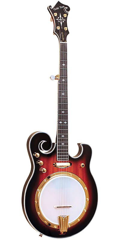 Gold Tone EBM-5 Electric Solidbody 5-String Banjo Left-Handed image 1