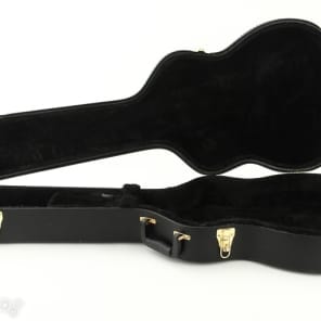 Ibanez tm50c clearance talman case