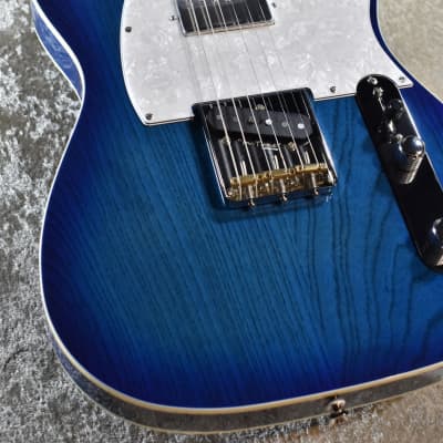 Fujigen/FGN NTE210RAH-SBB See-Thru Blue Burst 3.89kg