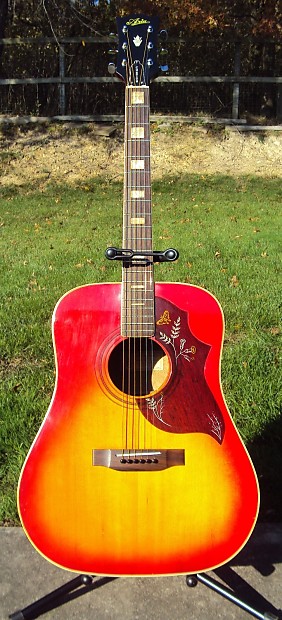 Japanese lawsuit acoustic clearance guitars