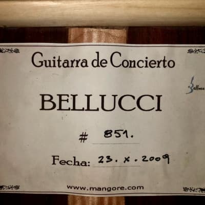 Renato Bellucci Concert model 2009 - Lacquered image 4