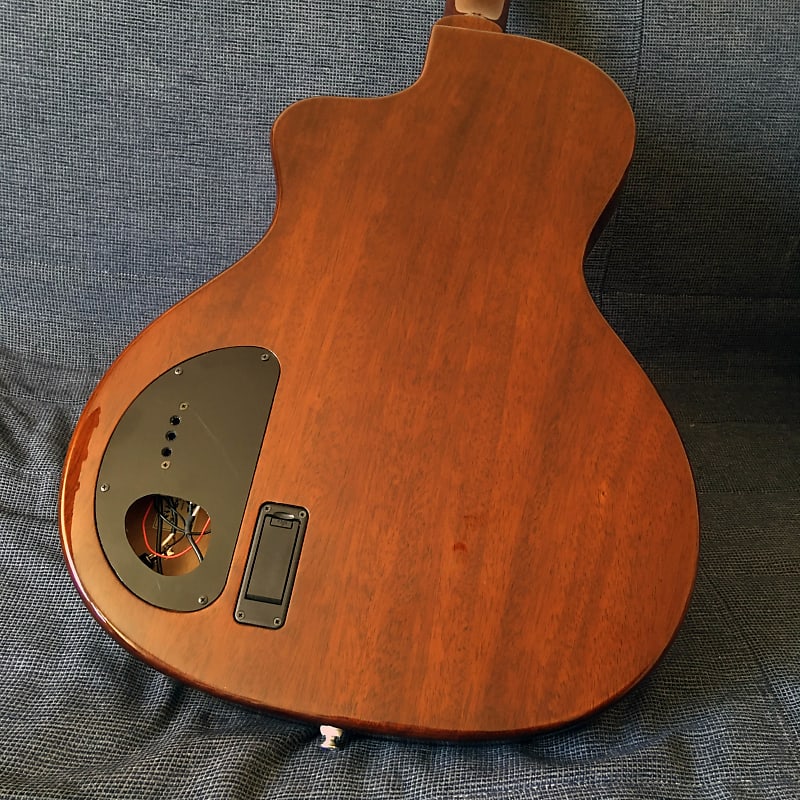 VG Ear 01 Custom Z Vesta Graham Terada Electro Acoustic 2