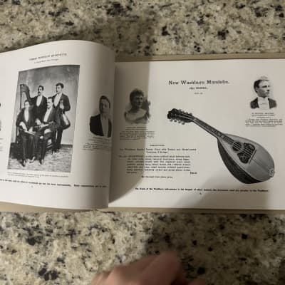 Washburn 1897 guitar mandolin zither banjo reprint catalog Lyon and Healy Lion image 8