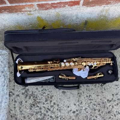 Portable Sax Bag Case For Mini Sax Clarinet Digital Electronic Wind  Instrument Thickened One Straight Saxophone Clarinet Bag