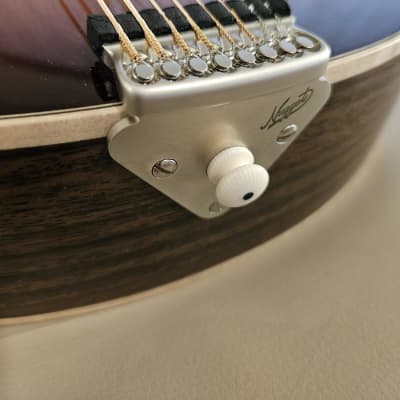KR Strings Octolindo F Deluxe 2023 w/ Custom Pickguard - Octave Mandolin (w/ Video) image 11