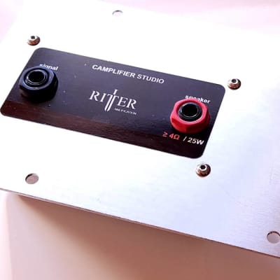 Ritter Camplifier Studio Amp 25 Watt for Kemper Profiler w/ Power Supply TOP image 5