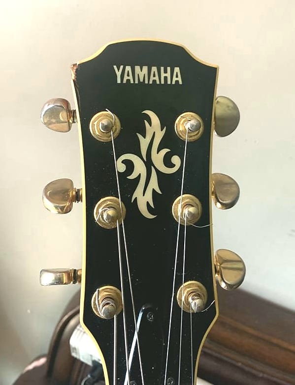 Yamaha Apx-8a | Reverb