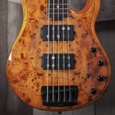 Sterling RAY35HH Electric Bass Guitar 5 String in Amber RAY35HHPB-AM- image 2
